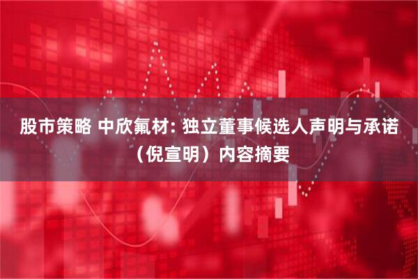 股市策略 中欣氟材: 独立董事候选人声明与承诺（倪宣明）内容摘要