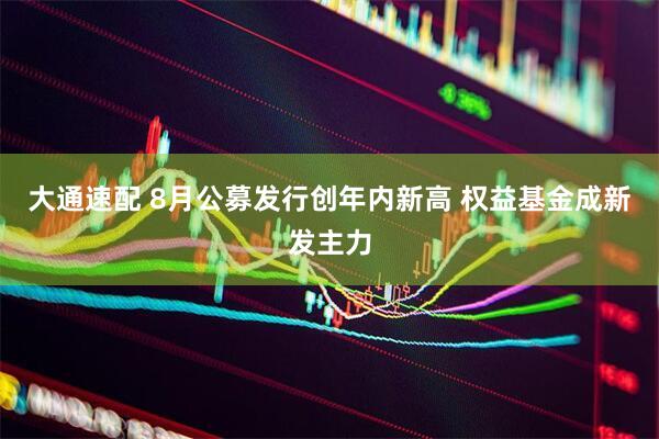 大通速配 8月公募发行创年内新高 权益基金成新发主力